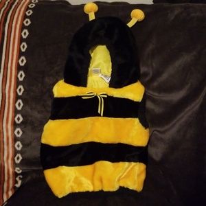 Bumblebee costume